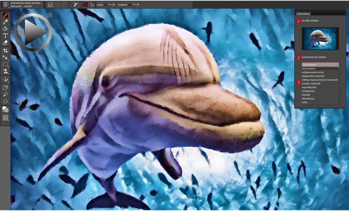 Actual product image Corel Painter Essentials 8 (1 User, 1 Devices/Users, unlimited)