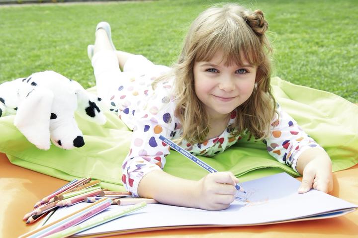 Actual product image STABILO Trio thick triangular crayon (Brown, 1 x)