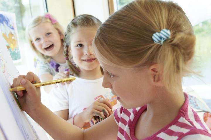Actual product image STABILO Trio thick triangular crayon (Brown, 1 x)