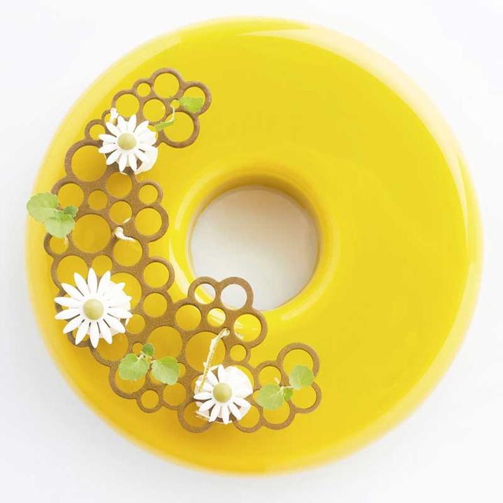 Immagine prodotto Pavoni Stampo in silicone Luppolo Mezza Luna Cerchi