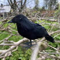 Actual product image Kögler Halloween decoration crow, 16x9x6 cm