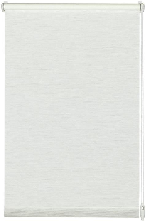 Immagine prodotto Gardinia Natur (60 x 150 cm)