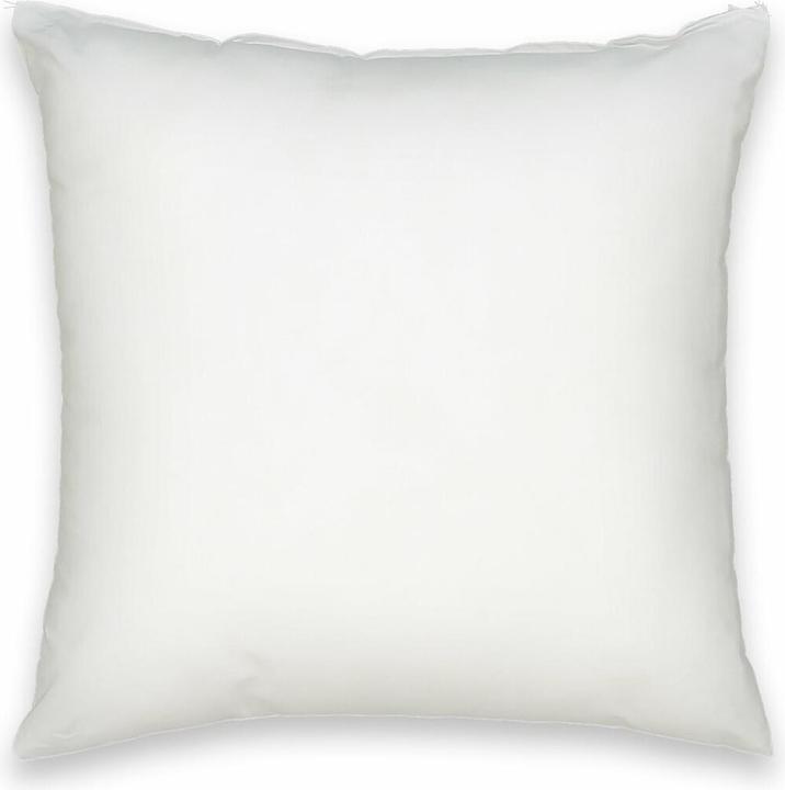 Immagine prodotto La Redoute Interieurs Terra (40 x 40 cm)