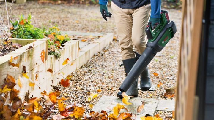 Actual product image Bosch Home & Garden AdvancedLeafBlower 36V-750 (Rechargeable battery operated, Leaf blower)