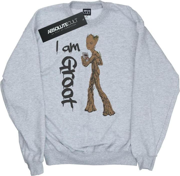 Avengers Infinity War Graffiti Groot Sweatshirt Jungen