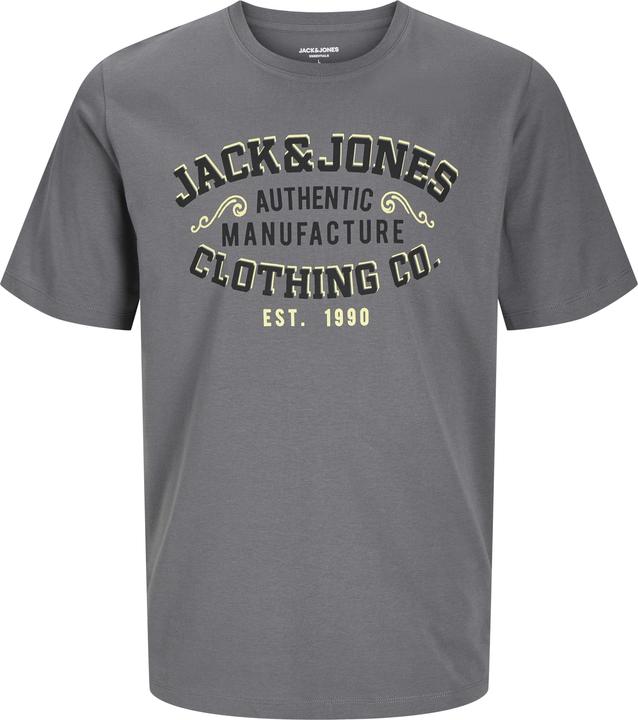 Jack & Jones Jjelogo Tee Ss O-Neck 2 Col Aw24 S Pls (5XL)