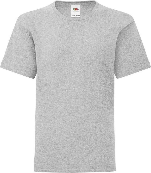 Actual product image Fruit of the Loom Childrens/Kids Iconic T-Shirt (164, 170)