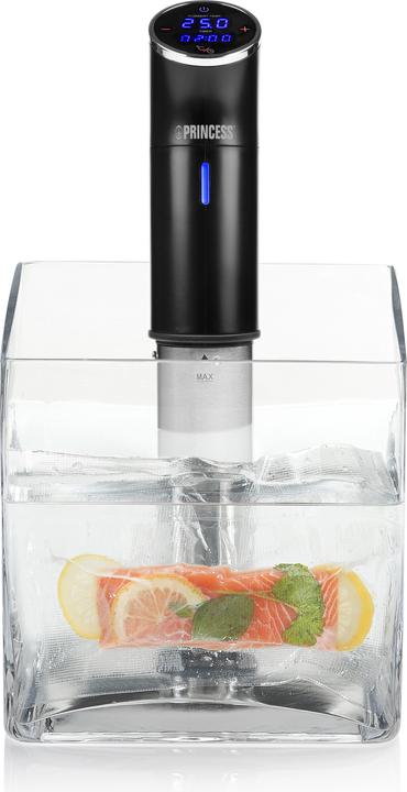 Actual product image Princess Waterproof sous vide stick