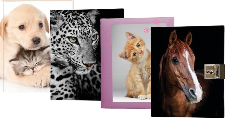 Image du produit Eibert Visual Chatons (160 x 190 mm)