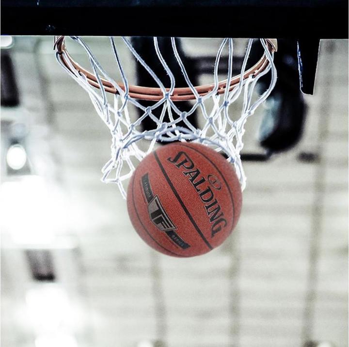 Image du produit Spalding TF Silver