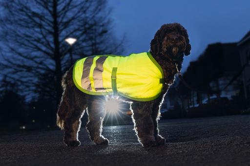 Actual product image Beeztees Bz Sg Dog Coat Teddie Reflections (S, Dog coat)