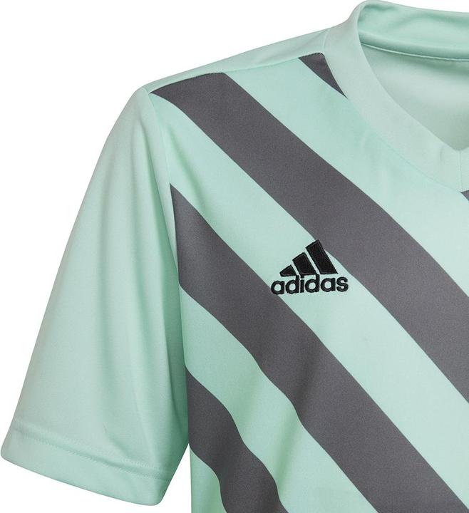 Produktbild adidas Entrada 22 Graphic Trikot (128)
