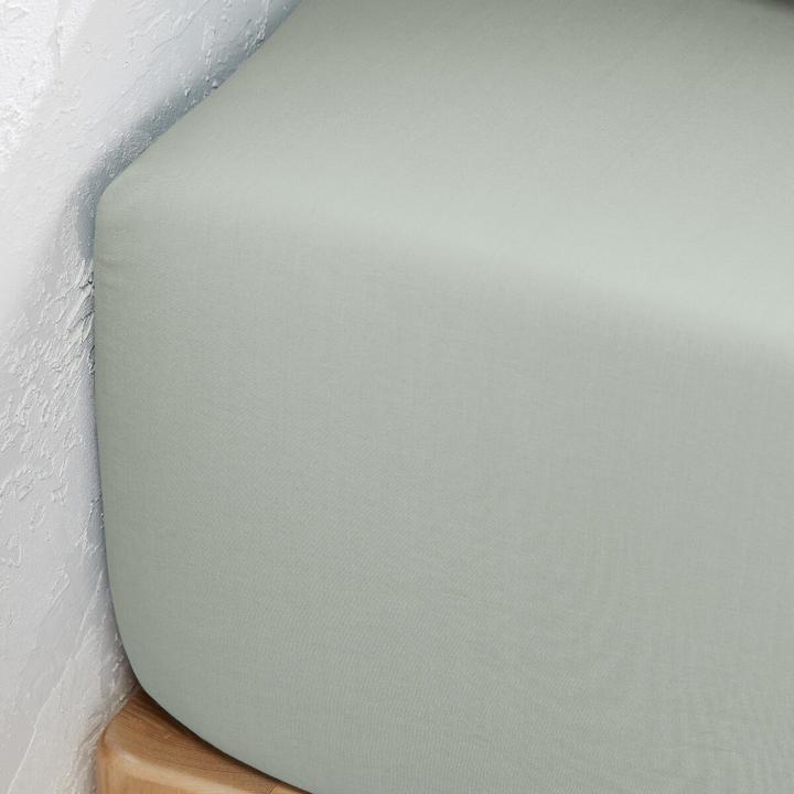 Actual product image La Redoute Interieurs Percale Bio (160 x 200 cm)
