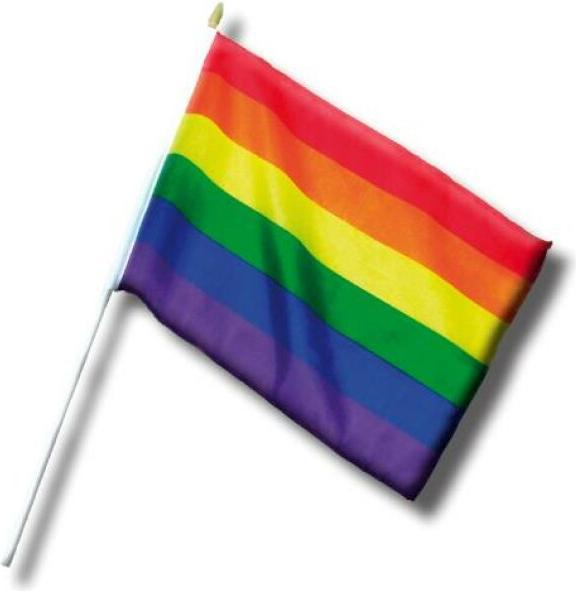 Immagine prodotto ? Bandiera Lgbt, Bandiera Piccola