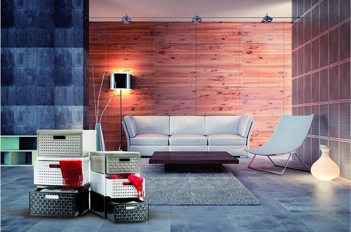 Image du produit Rotho Pays (45 x 34 x 20 cm, 0 l)