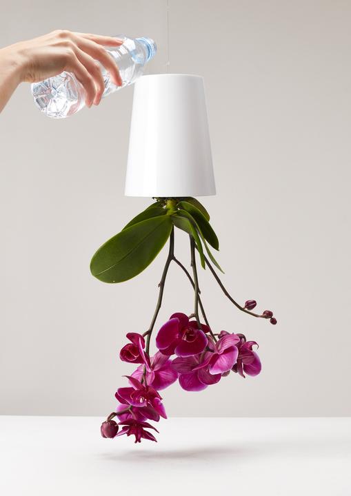 Actual product image boskke Sky Planter hanging plant pot with water reservoir
