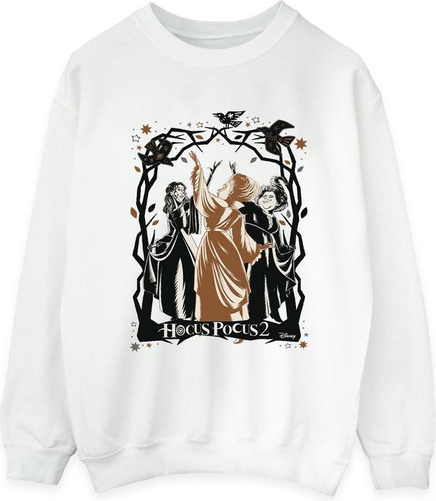 Actual product image Disney Womens/Ladies Hocus Pocus Birds Sweatshirt (S)