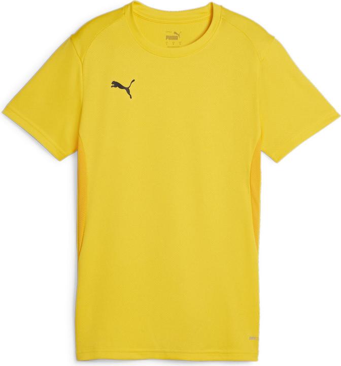 Image du produit Puma teamGOAL Jersey Wmn (S)