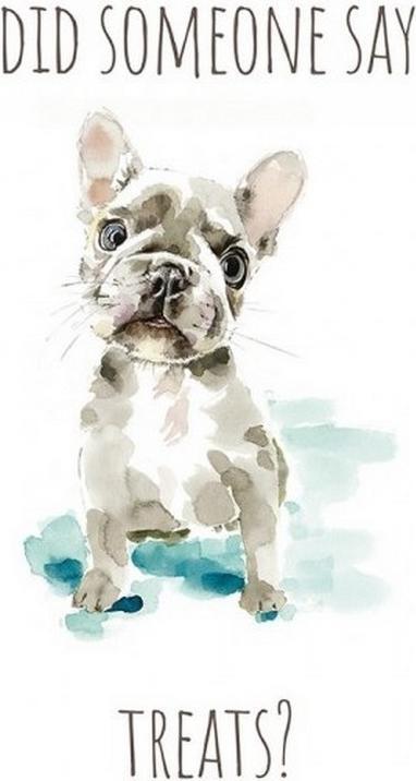 Produktbild Universal Textiles Drucker Did Someone Say Treats? Französische Bulldogge (40 x 30 cm)