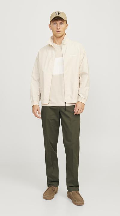 Actual product image Jack & Jones Jpstkane Jjotis Chino (27)