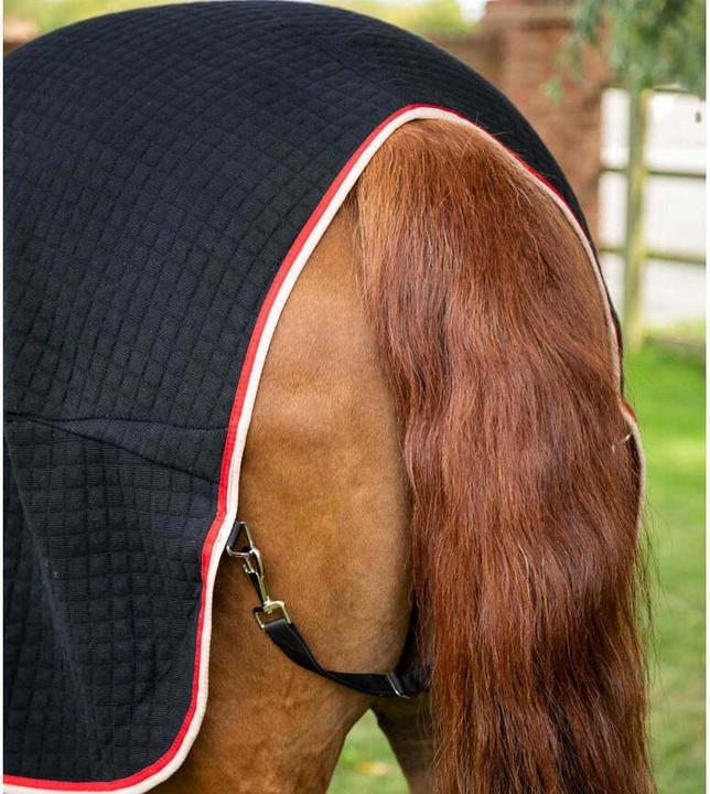 Actual product image Premier Equine Premtex (191 cm)