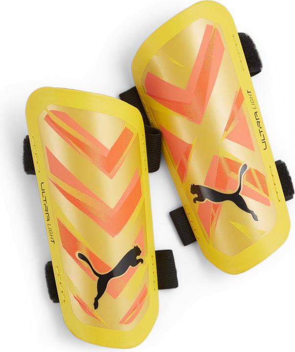 Puma Noir, Coucher du soleil couchant Glow, Flux de soleil