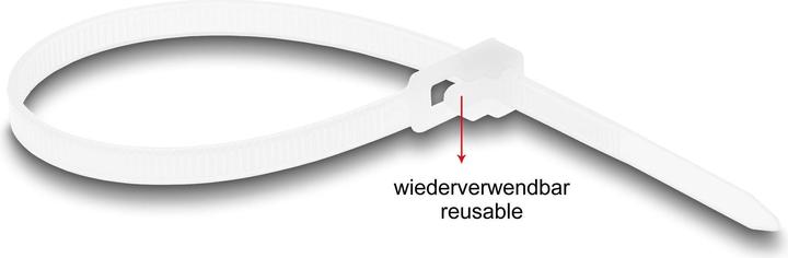 Image du produit Delock Colliers de serrage réutilisables L 200 x l 4,8 mm 100 pièces blanc (Serre-câbles en plastique, 200 mm, 100 pcs)