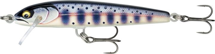 Produktbild Rapala Floater Elite