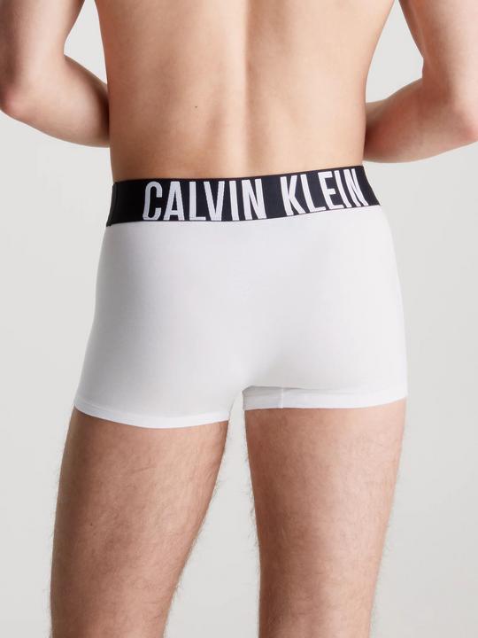 Actual product image Calvin Klein Trunk 3Pk (XS, pack of 3)