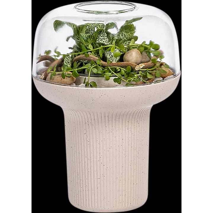 Immagine prodotto Plastia Fioriera Humidarium 26,5x20 cm (20 cm)