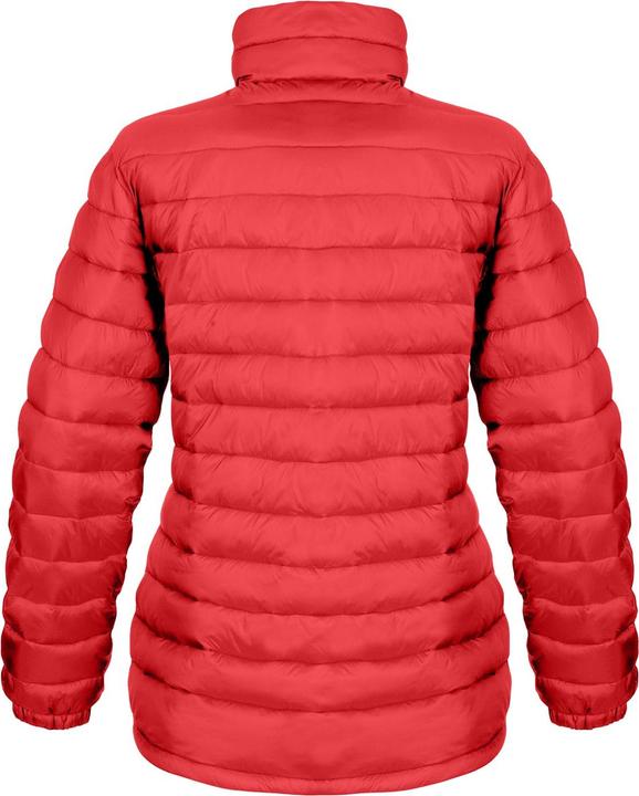 Actual product image Result Womens/Ladies Ice Bird Padded Jacket (M)
