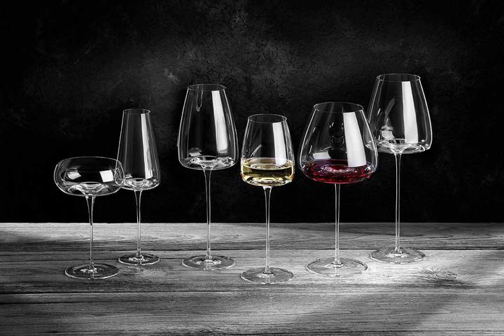 Actual product image Zieher Vision Balanced Wine Glass Set of 2 (85 cl, 2 Glasses, Red wine glasses)