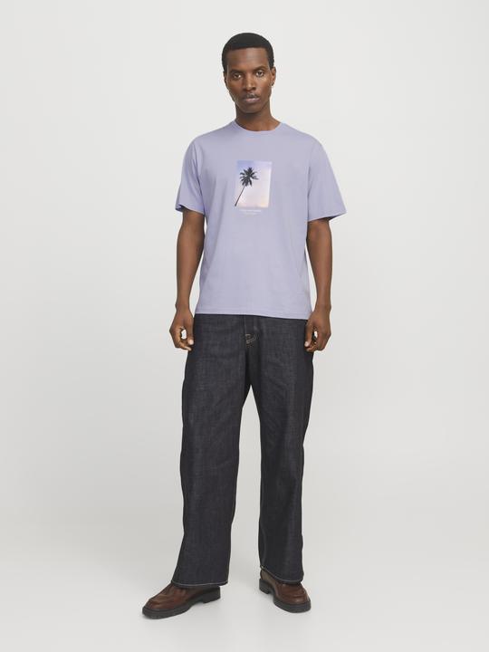 Actual product image Jack & Jones Jorvesterbro Picture Tee Ss Crew Neck Sn (XL)