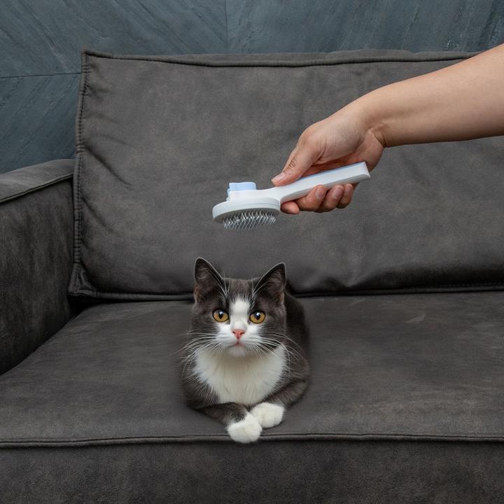Produktbild Intirilife Tierhaarbürste (Katze, Hund)