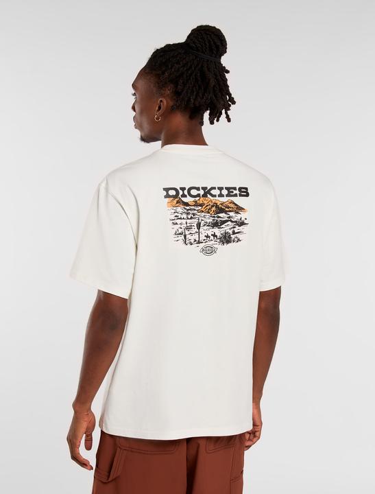 Actual product image Dickies Landascape Ss Tee Egret (XL)