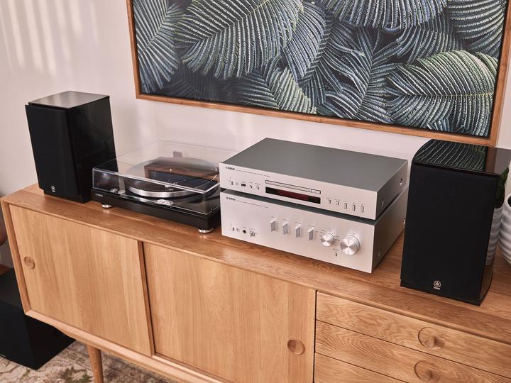 Actual product image Yamaha TT-S 303 (Manual)