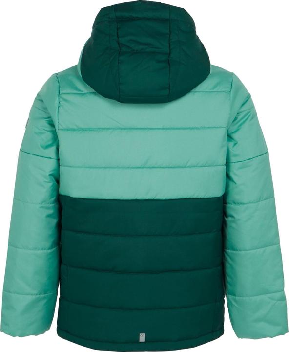Actual product image Regatta Childrens/Kids Lofthouse VIII Insulated Jacket (158)