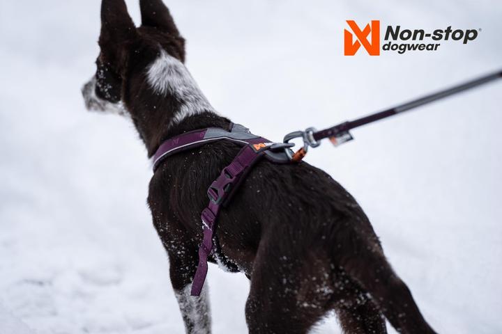 Immagine prodotto Non-Stop Dogwear Imbracatura di linea 5.0 Arancione 8 (8, Cane, Generale)