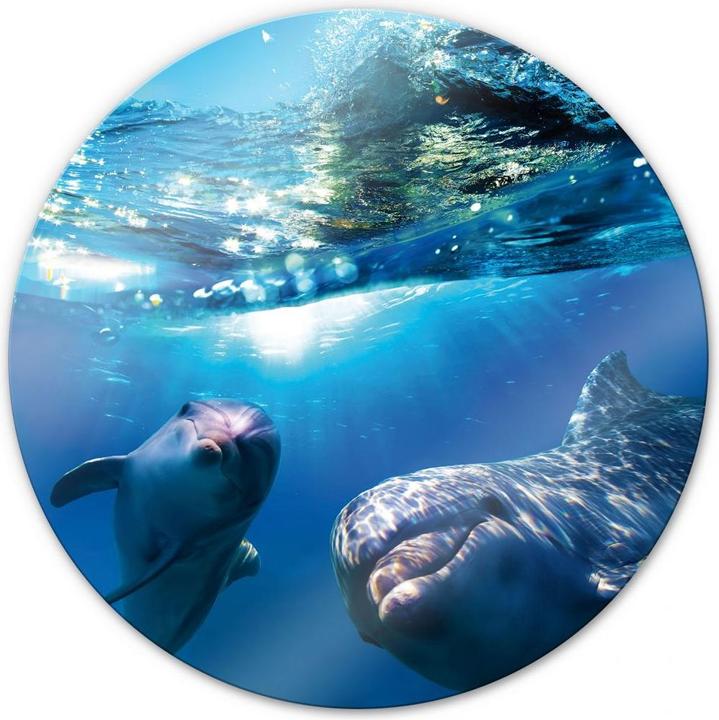 Actual product image Trenddeko Dolphins Underwater - round (Ø 50 cm)