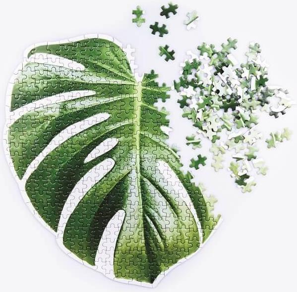 Image du produit Doiy Slow Puzzle Monstera (500 pièces)