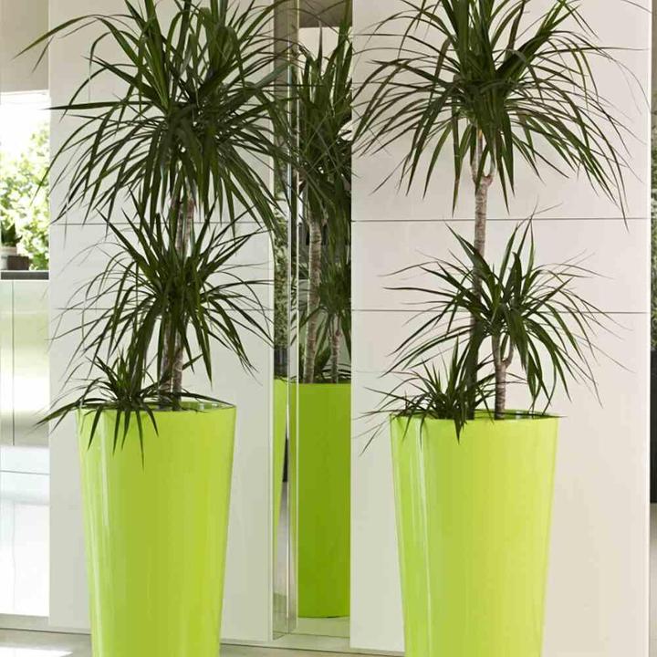 Actual product image Euro3plast Planter (33 cm)