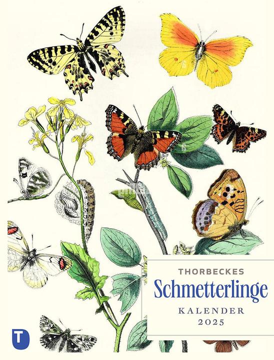 Produktbild Thorbeckes Schmetterlinge-Kalender 2025 (24 x 32 cm, Deutsch)