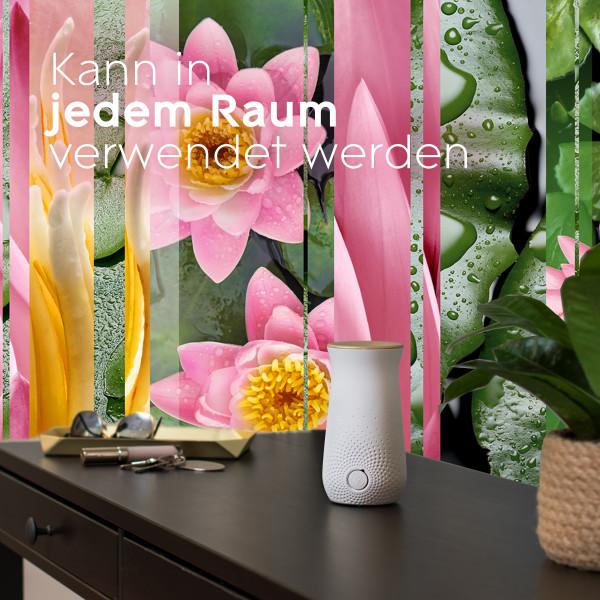 Actual product image Glade Sense & Spray