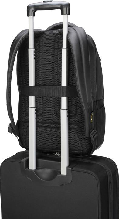 Actual product image Targus Citygear (35.65 l)