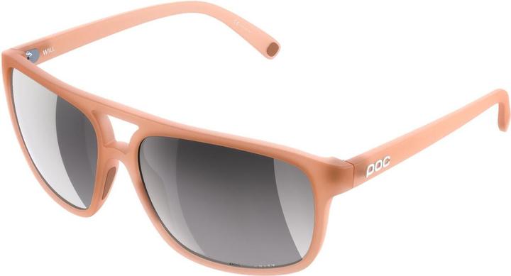 Actual product image Poc Will sunglasses