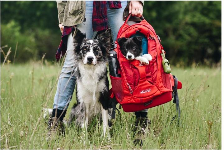 Immagine prodotto Kurgo G-Train K9 (Cane, Chiusura di sicurezza)