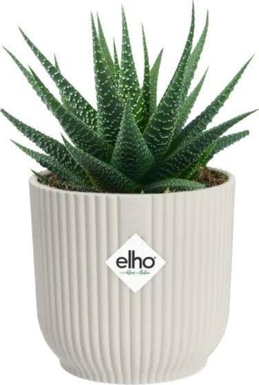 Produktbild Elho Vibes (29.50 cm)