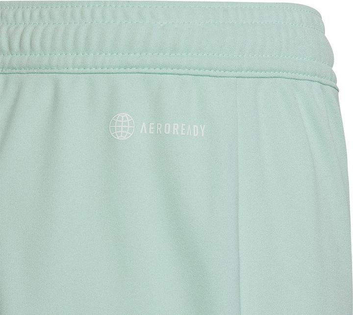 Actual product image adidas Entrada 22 Shorts (164)