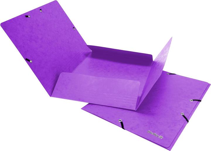 Actual product image Biella Rubber band folder (A4, 1 x)