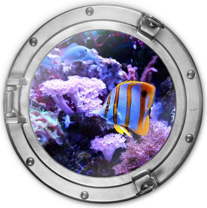 Immagine prodotto Trenddeko Oblò rotondo 3D Optics - Mondo subacqueo colorato - Corallo viola (Ø 70 cm)
